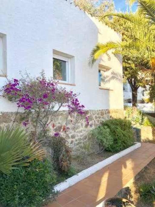 Amplio Apartamento Con Jardin En Almadrava Roses Eksteriør bilde